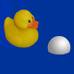 A rubber ducky and a ball floating in water
