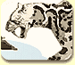 A white sabertooth tiger with black spots making a snarling face